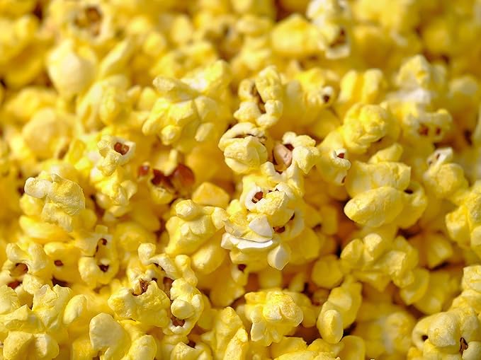 Amish Country Popcorn | 12 Pack Mixed Seasoning Bundle | Old Fashioned, Non-GMO and Gluten Free