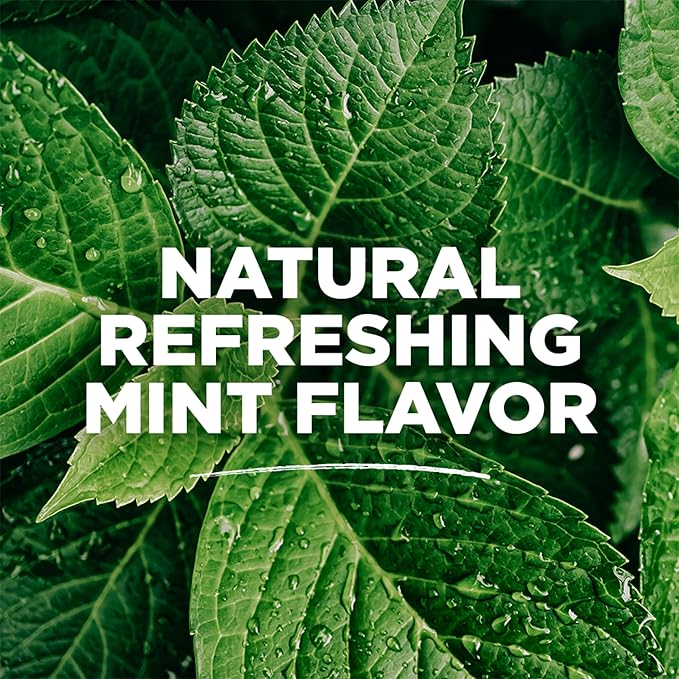 Tom's of Maine Sea Salt Natural Alcohol-Free Mouthwash, Refreshing Mint, 16 Fl Oz (Pack of 6)(Packaging May Vary)