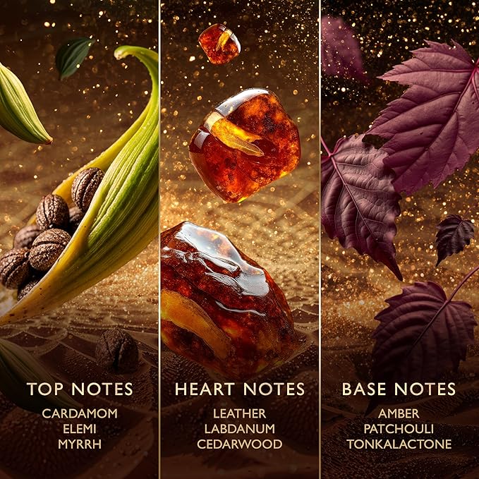 Jawhara Amberwood Nomad | Ambery Fougere Eau de Parfum 3.3 fl oz | Notes of Cardamom, Leather, Cedarwood, and Rich Amber | Long Lasting | Everyday Wear | Travel Size