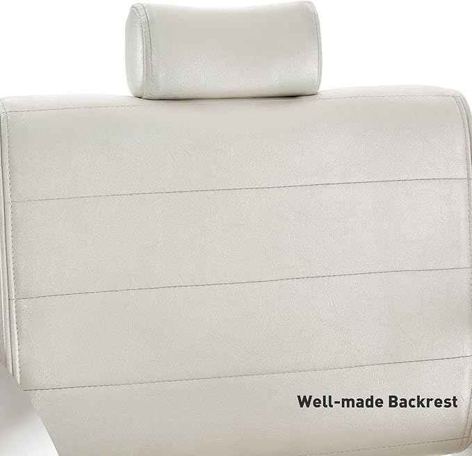 BarberPub Barber Chair for Barbershop,Reclining Salon Chair for Hair Stylist 9180 (Champagne)