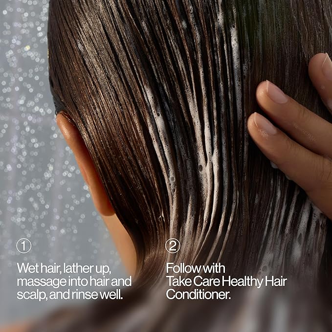 EVA·NYC Take Care Healthy Hair Shampoo 10 Fl Oz (Pack of 1)