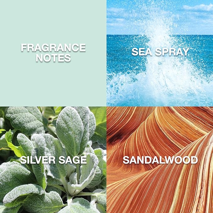 Lucky Brand Re/Balance The New Sustainably-Inspired & Harmonious Mood-Evoking Unisex Fragrance For Women & Men, 3.4 Fl Oz EDT Spray (Pack of 1)