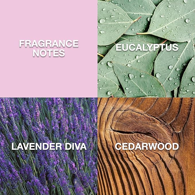 LUCKY Brand Re/Lax The New Sustainably-Inspired & Tranquil Unisex Fine Fragrance Mist For Women & Men, 8.0 Fl Oz (Pack of 1)